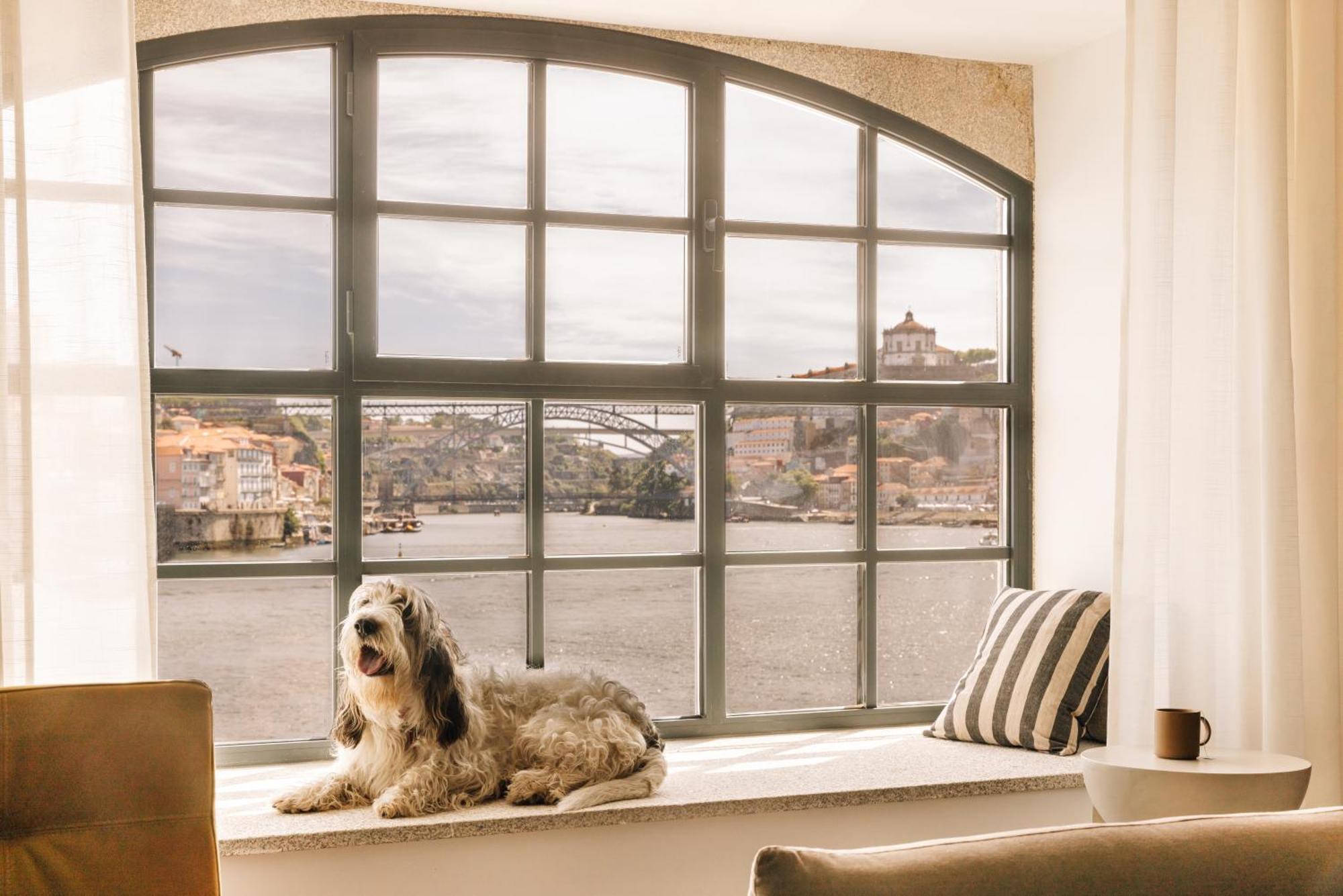 וילה נובה דה גאיה The Rebello Hotel & Spa - Small Luxury Hotels Of The World מראה חיצוני תמונה A window with a dog